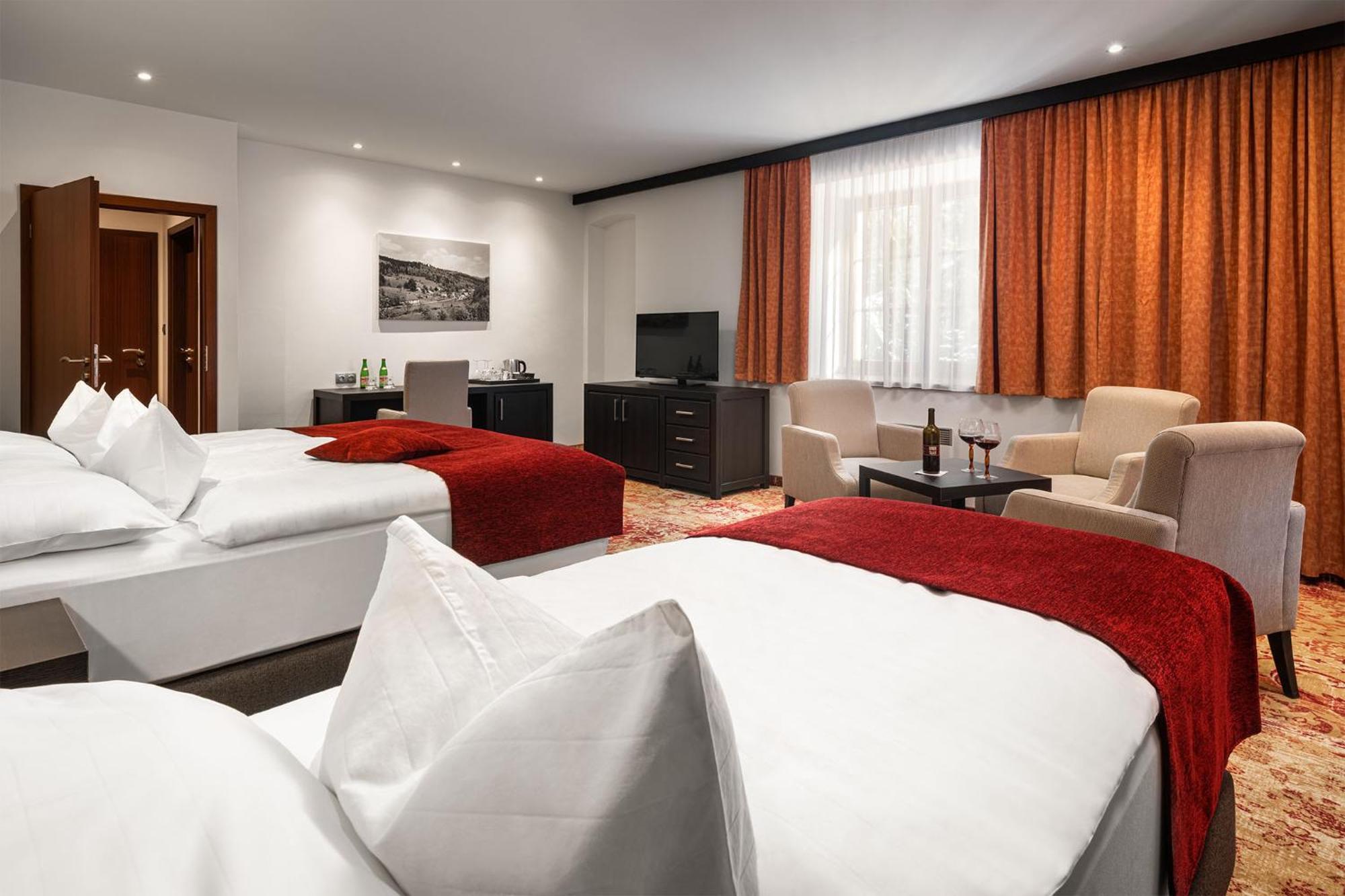 Ludvíkov Hotel Singer חדר תמונה